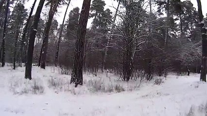 ПРОГУЛКА НА ПРИРОДЕ