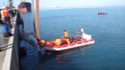 İskenderun Limanı'na Ölü Yavru Balina Vurdu Tamamı