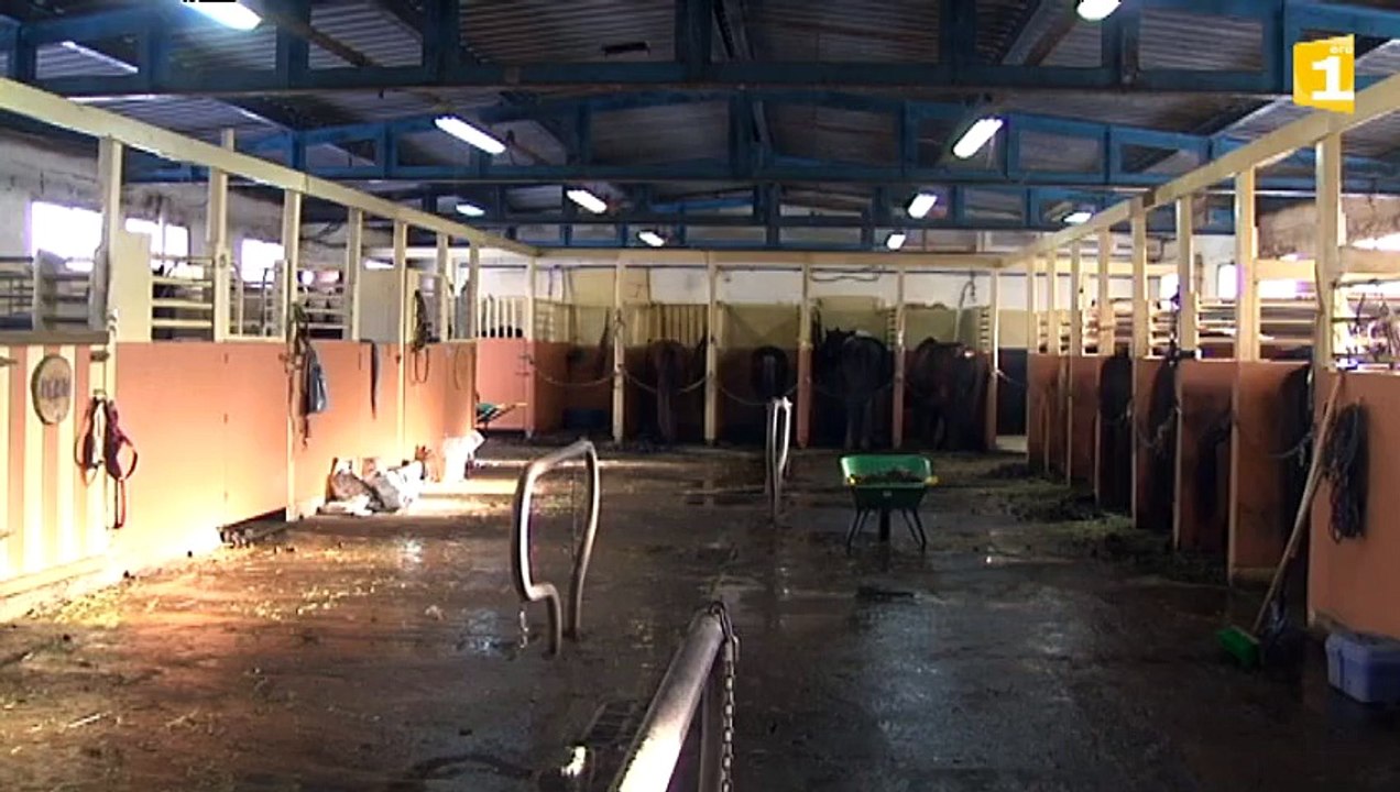 Le centre équestre de Saint-Pierre invite les jeunes à découvrir le monde du cheval