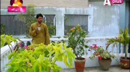 Ye Mera Deewana Pan Hai Episode 42 Part 1 A Plus Entertainment Drama 9th January 2016