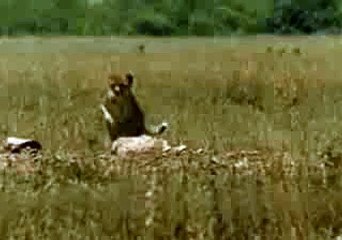 This man runs faster than Cheetah Amazing Video