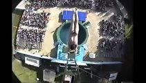 (dangerous stunts) people are awesome