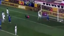 Carpi vs Udinese 2-1 All Goals & Highlights 09.01.2016 HD