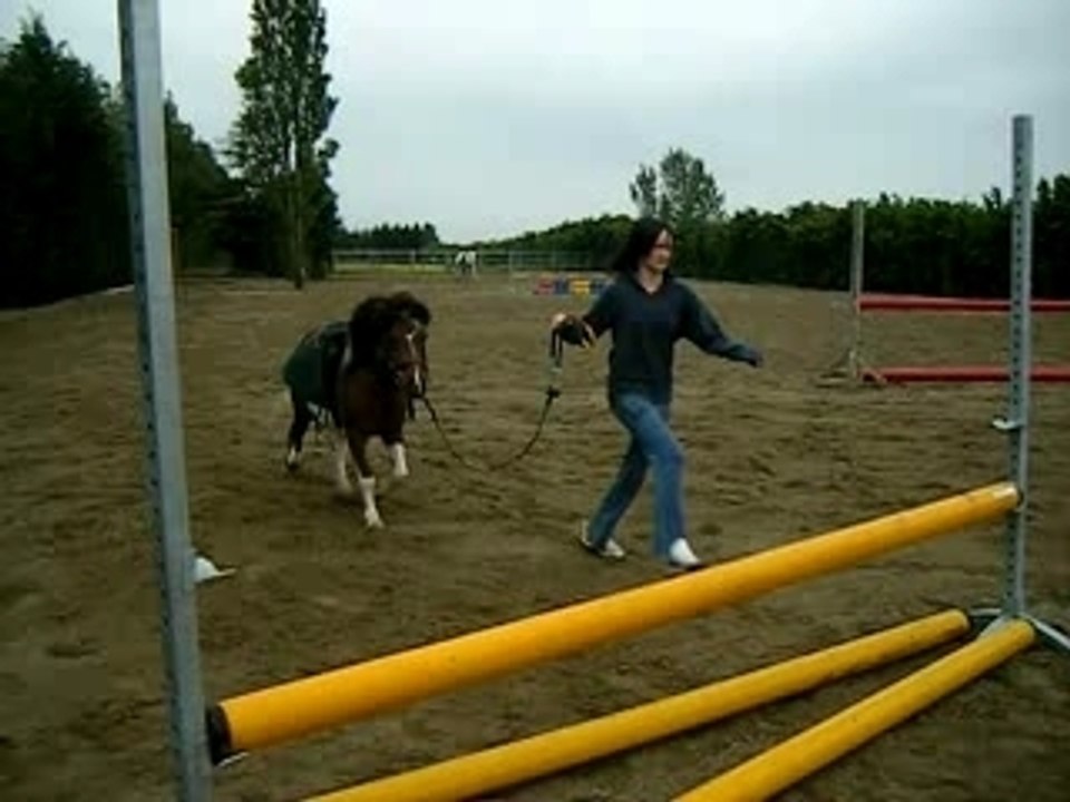 DSCF1428