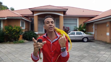 Mendy Brown here is the monkey