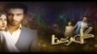 Gul E Rana Episode 11 Promo HUM TV Drama 09 January 2016 | Sajal Ali & Feroz Khan