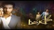 Gul E Rana Episode 11 Promo HUM TV Drama 09 Jan 2016