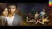 Gul E Rana Episode 10 Full HUM TV Drama 09 January 2016 | Sajal Ali & Feroz Khan