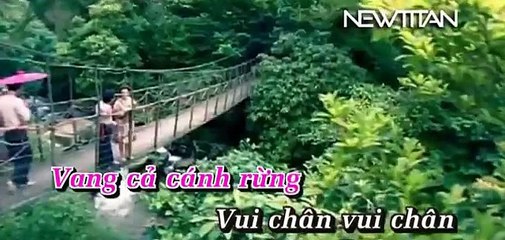 Gặp Nhau Giữa Rừng Mơ