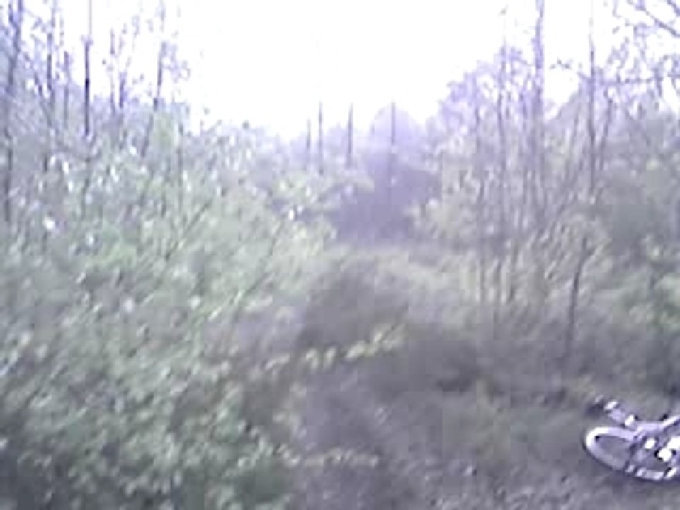 CLIP0029