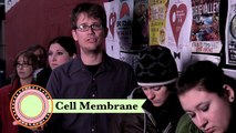 In Da Club - Membranes & Transport Crash Course Biology #5