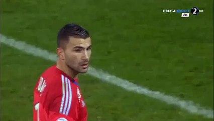 Fabien Camus Goal - Lyon 1-1 Troyes 09-01-2016