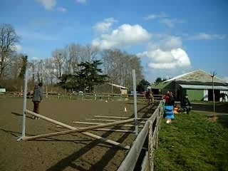 moi et le nénorme cirus