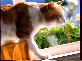 реклама 90-х.