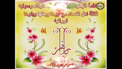 فاطمة الزهراء عليها السلام (حورية إنسية) بصوت الرادود باسم الكربلائي