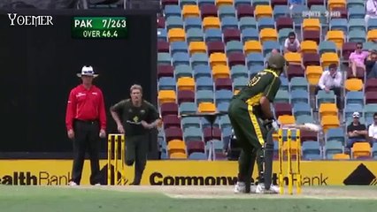 Shahid Afridi baseball six .....