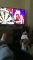 This dog chases darts when they're thrown on TV