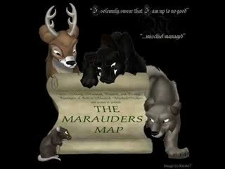 The maraudeurs