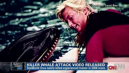 SeaWorld releases video of 2006 killer whale attack