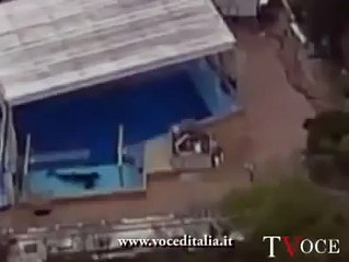 MOMENT OF DEAD Dawn BrancheauExclusivo momento q a baleia Orca mata treinadora Dawn Brancheau wmv