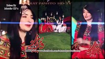 Gul Panra & Hashmat Sahar Pashto Song 2015 HD - Vendetta