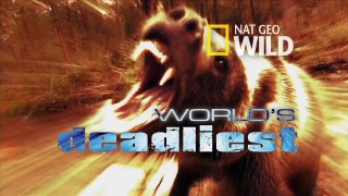 World's Deadliest - Cheetah Brothers' Takedown