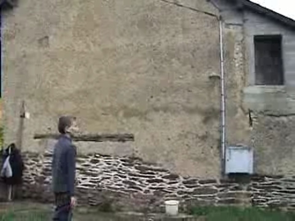Betisier