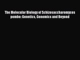 [PDF Download] The Molecular Biology of Schizosaccharomyces pombe: Genetics Genomics and Beyond