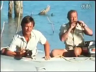 Male lions kill and eat crocodile  Rare footage    @lion