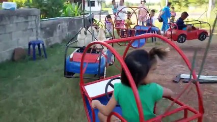 family of pugs having some fun Funny Video