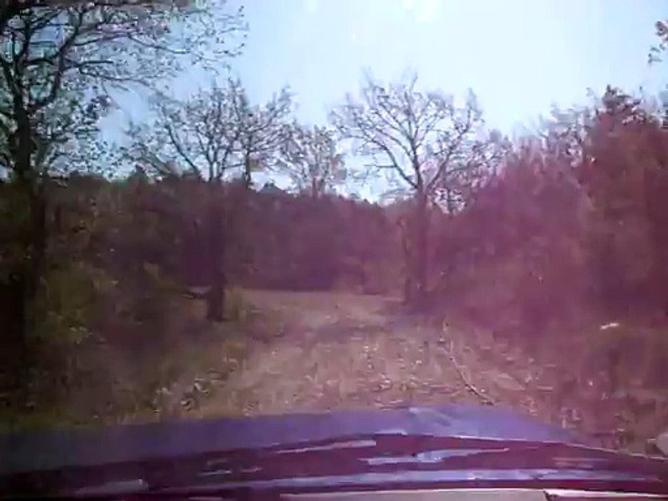 Rando 4x4 Mitsubishi Pajero  IMG_2869