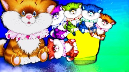 Finger Family Collection | Top Finger Family Collections For Children | Rhymes For Childre