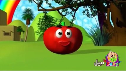 البندورة الحمرا - قناة بيبي الفضائية -toyor baby