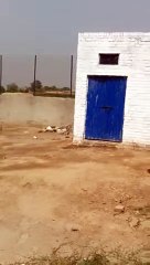 SOLAR TUBEWELL IN PAKISTAN