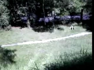 Thomas petit road gap