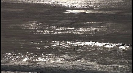 Soothing Ocean Surface