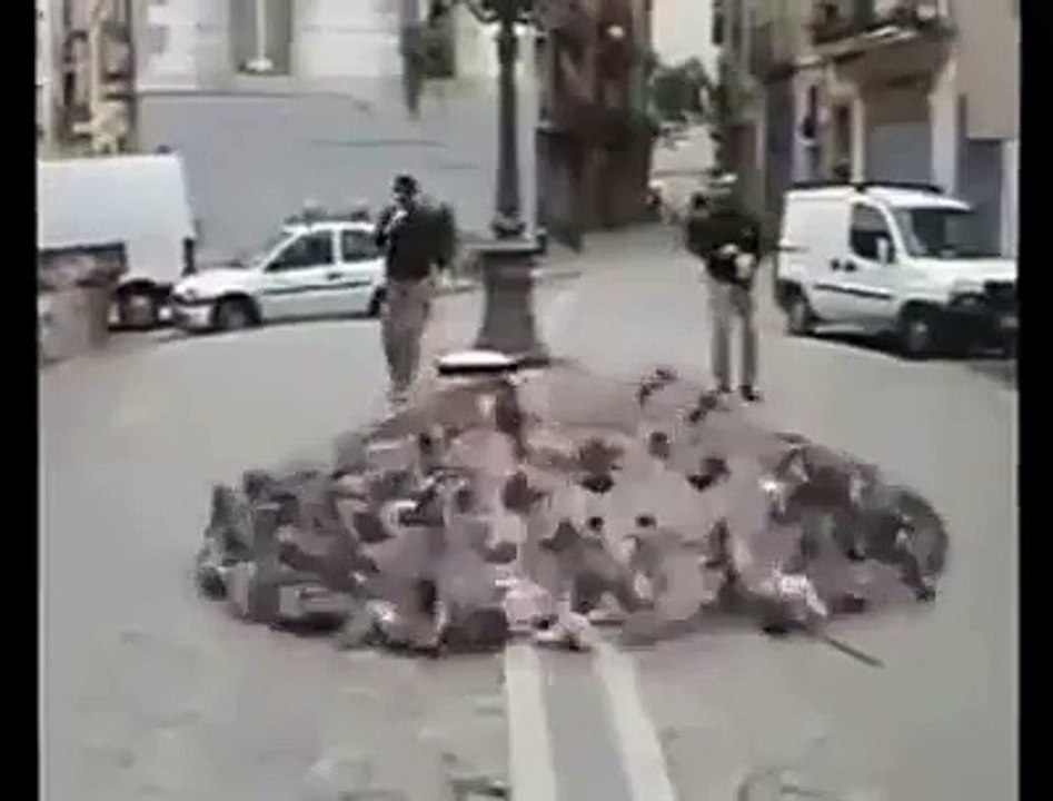 Amazing Catcher