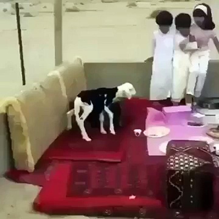 Bakri Prank