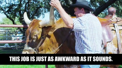 Strangest Jobs Youve Never Heard Of