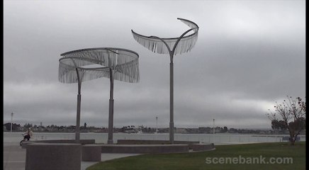 Metal Trees in Motion