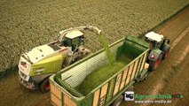 CLAAS JAGUAR 980 | Fendt Traktoren im Einsatz Grünroggen Häckseln