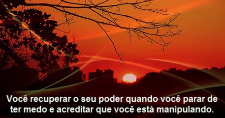 Viva a Vida - REFLEXÃO