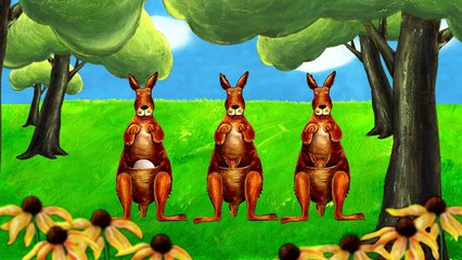 Learning ABC K is for Kite & Kangaroo Lower Case Alphabet k