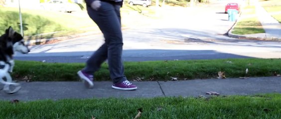 This Awesome Human 3D Printed New Legs For A Crippled Dog
