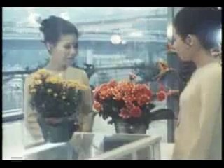 可愛い花・・ザ・ピーナッツ