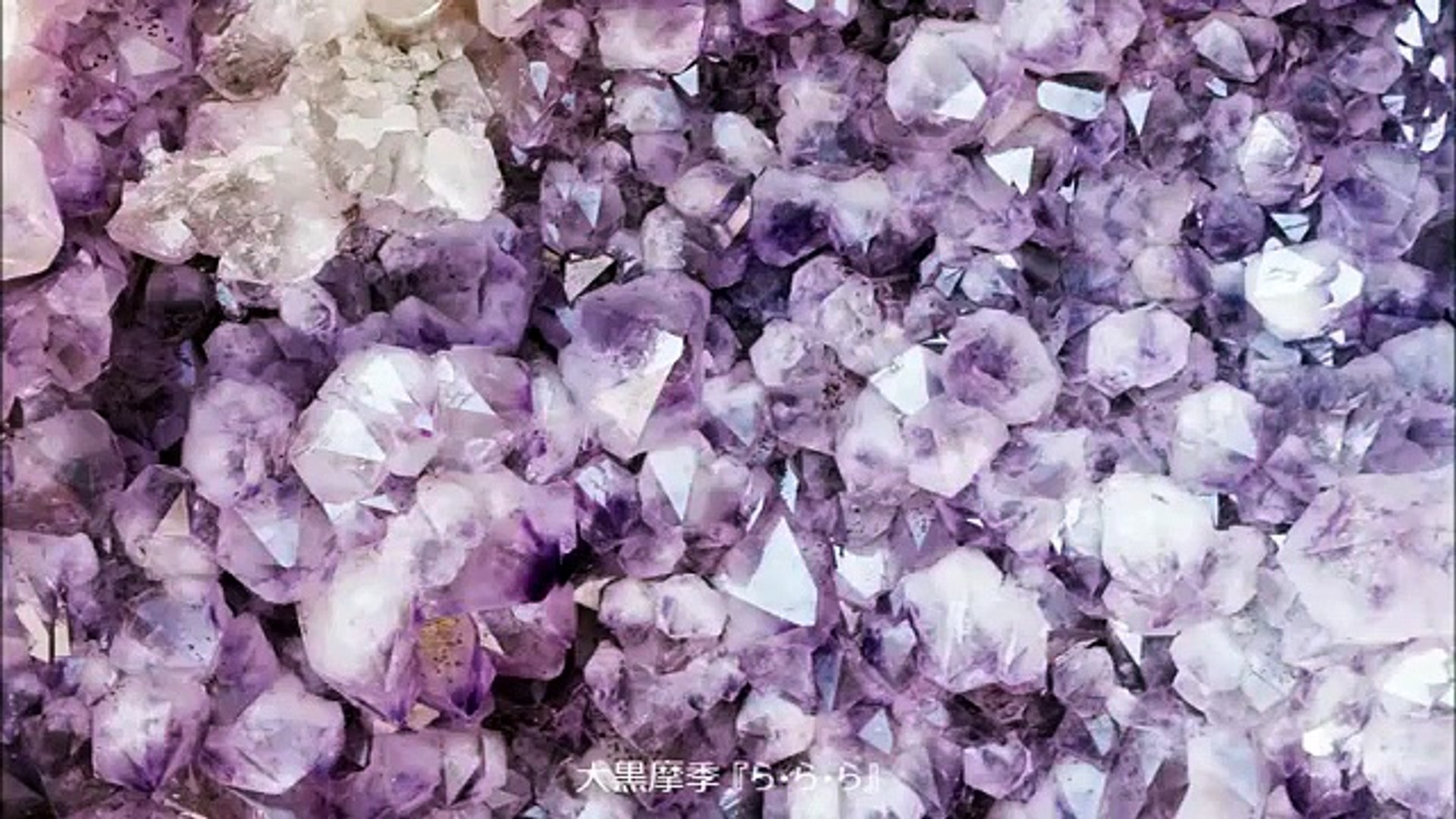 大黒摩季 ら ら ら Dailymotion Video