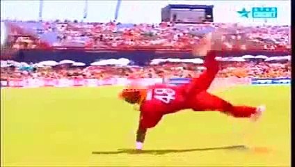 Best Catches in The History Of Cricket  Top Ten Catches  2016 Included