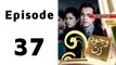 Wajood-e-Zan Episode 37 Full on Ptv Home in High Quality