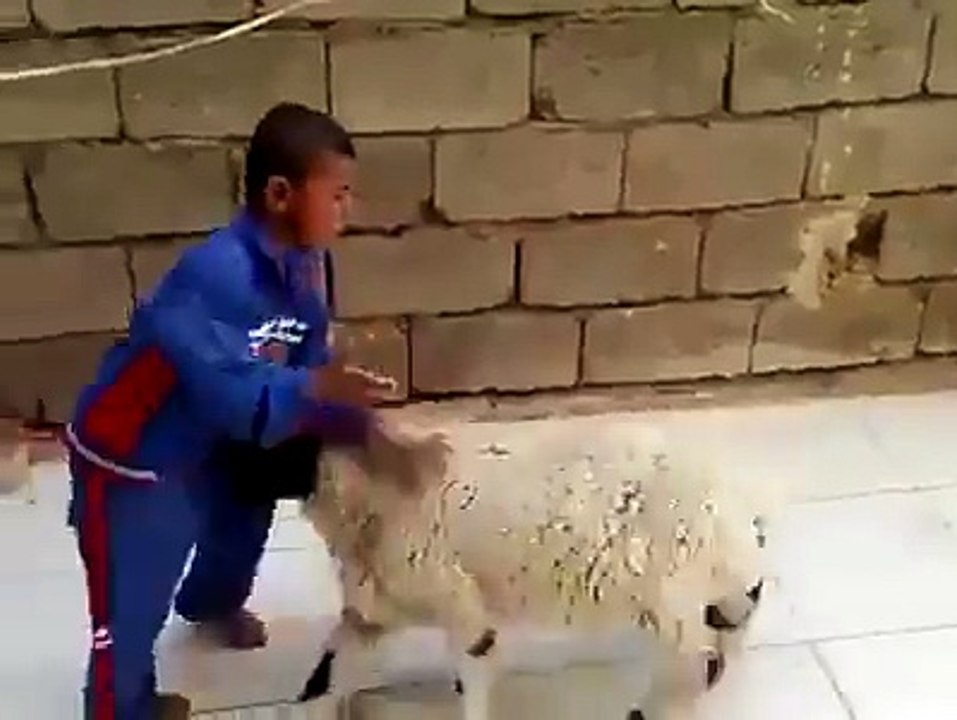 es video Bary apka kia khyal hy