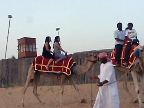 Dubai Desert Safari, Camel ride experience